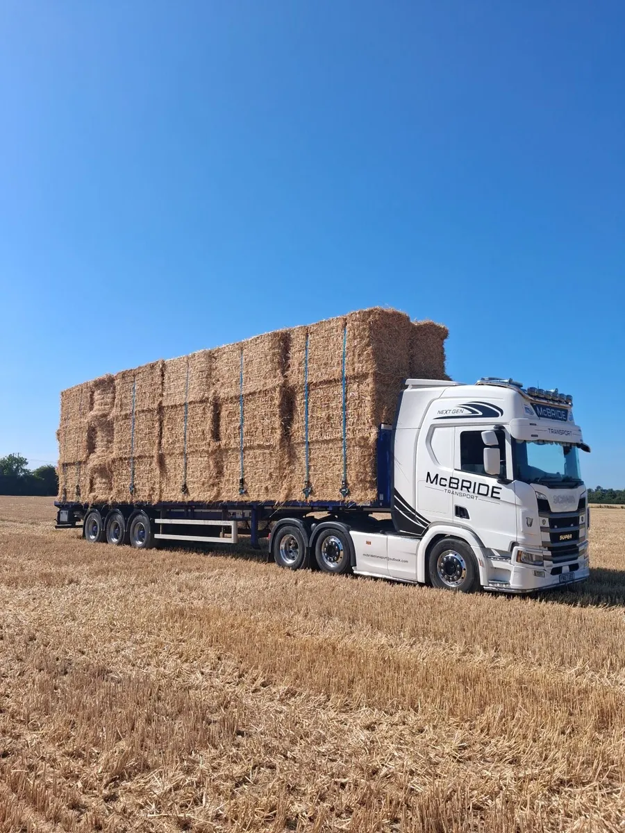 Barley & weat straw - Image 2