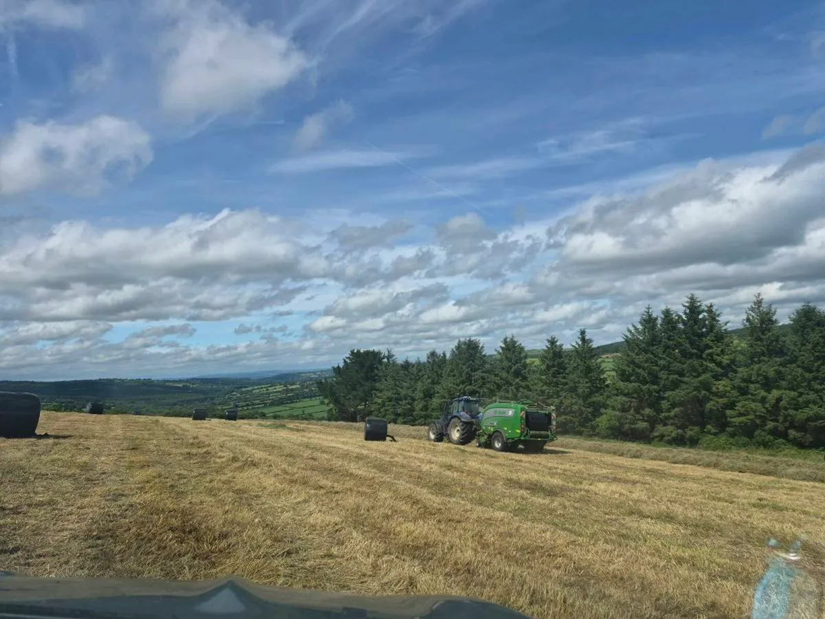 Silage bales - Image 1