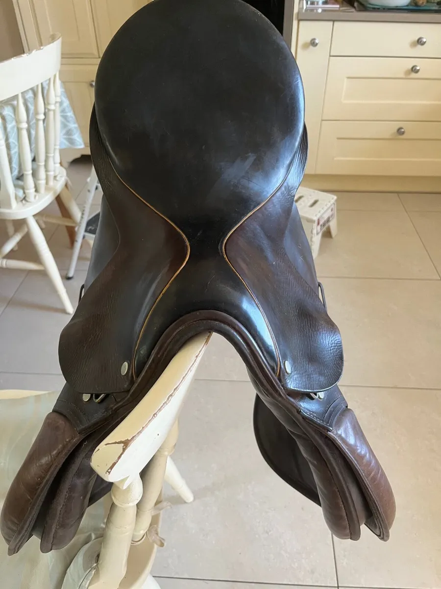 Horse’s  Saddle - Image 3
