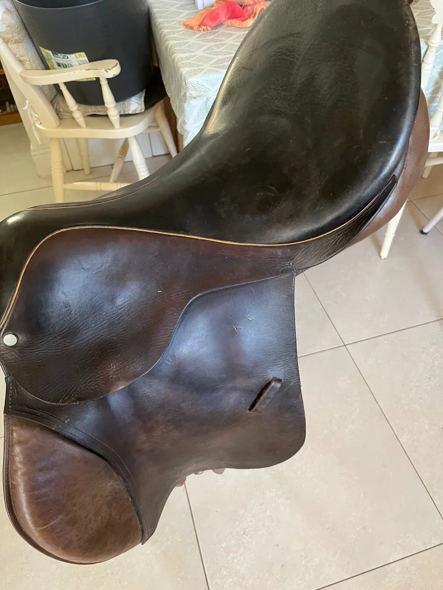 Horse’s  Saddle - Image 4