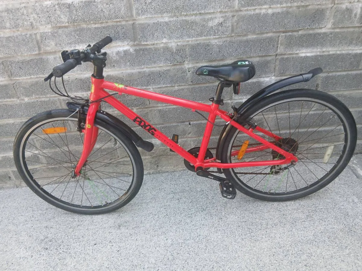 KIDS FROG BIKE - Image 1