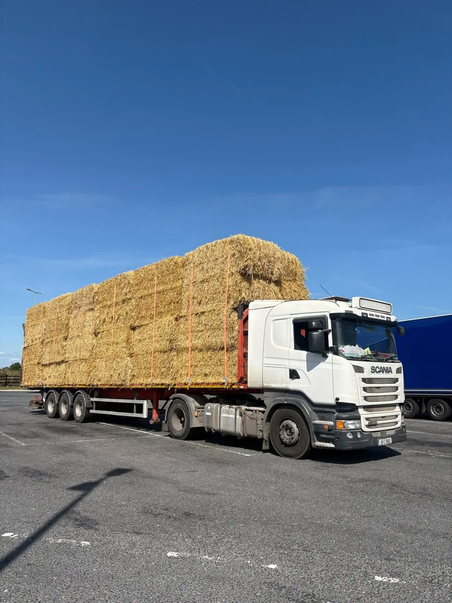 Winter barley straw - Image 1