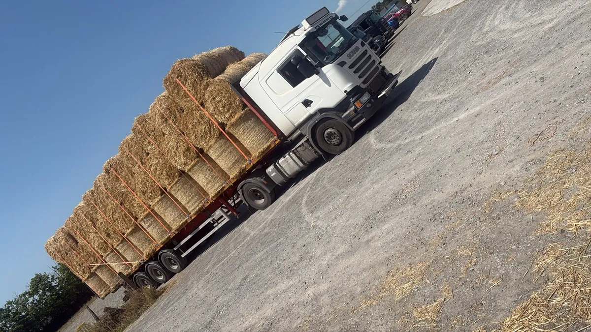 Winter barley straw - Image 4