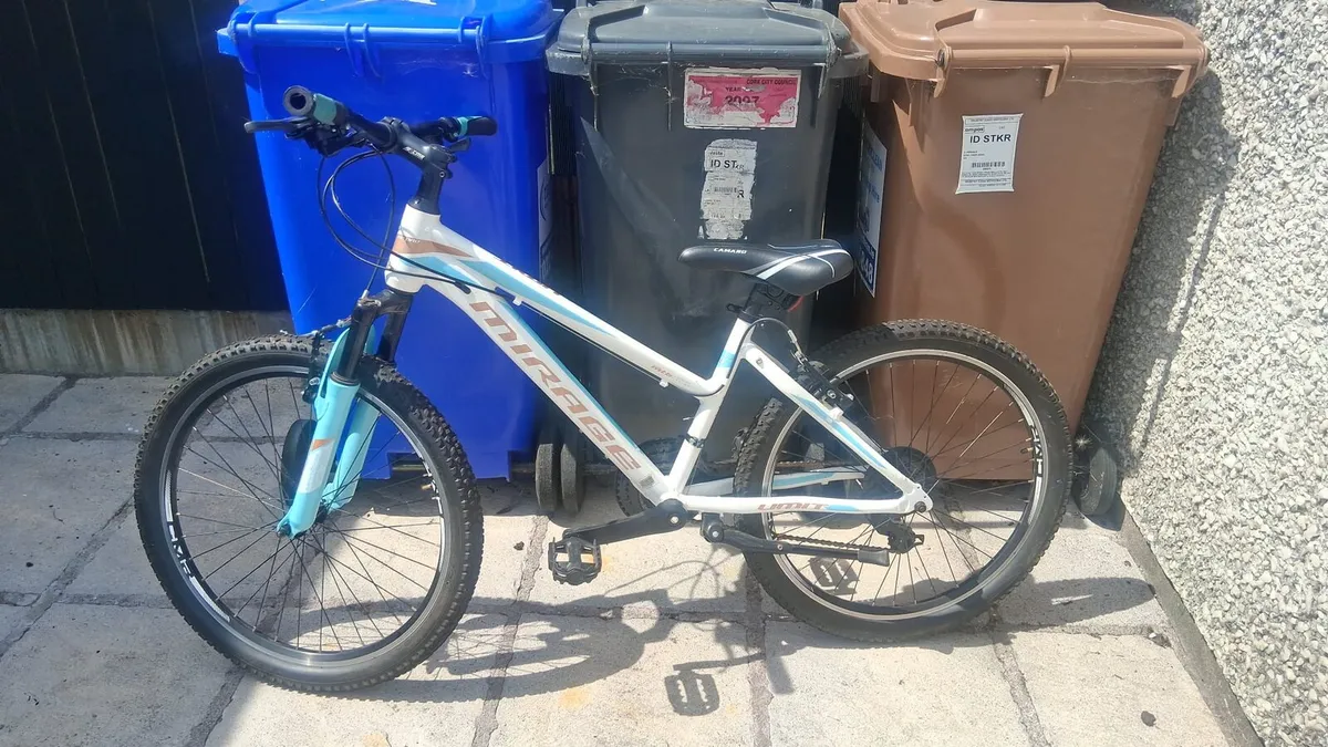 Bicycle - Image 1
