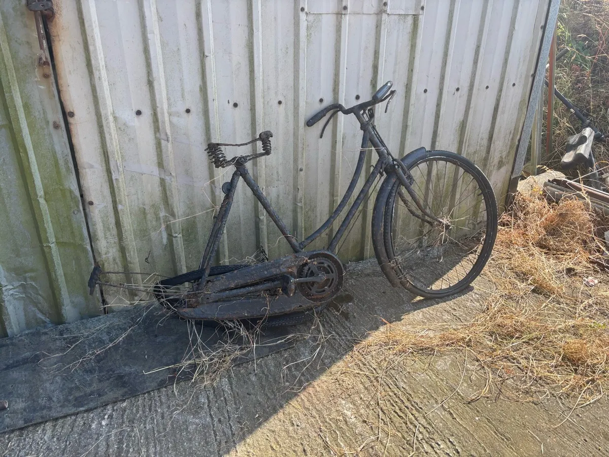 High Nelly bikes - Image 4