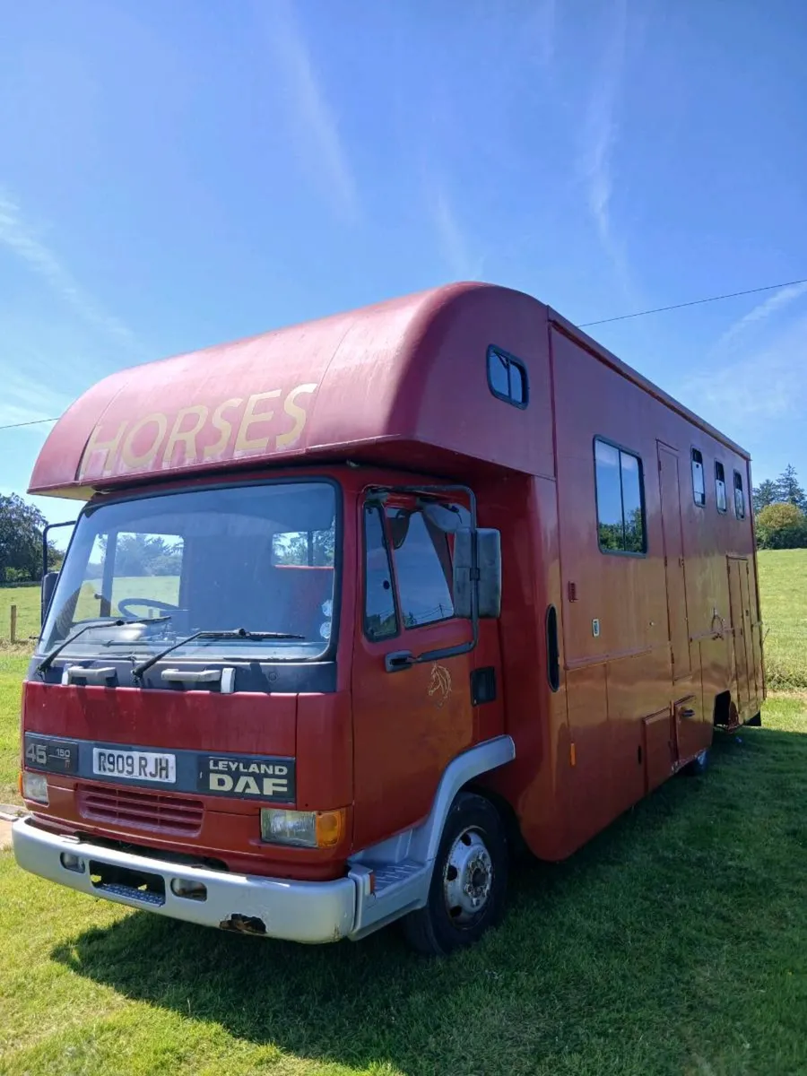 Daf 45 150 camper/horse lorry - Image 3