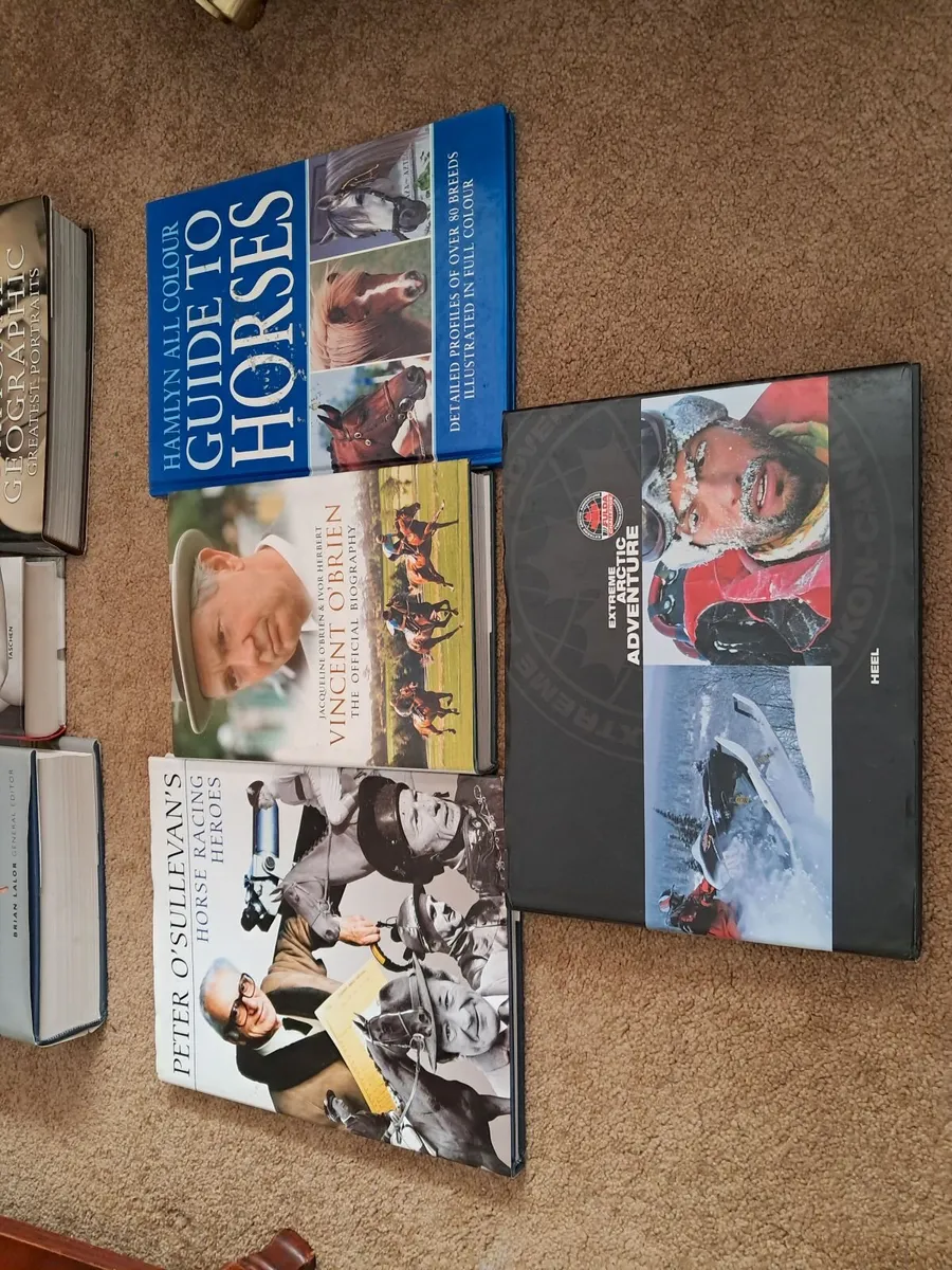 FREE  BOOKCASE INCLUDING BOOKus some Larger Books - Image 4