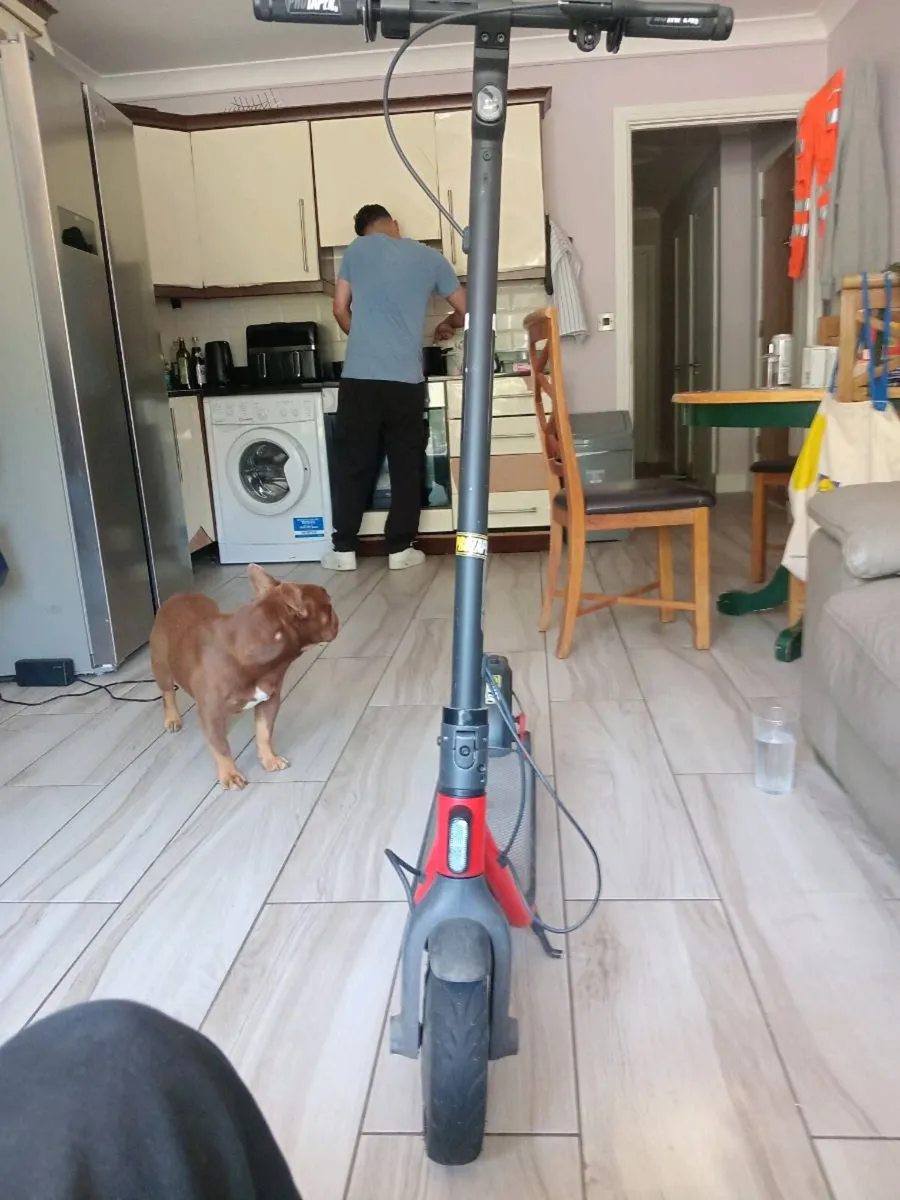 Electric scooter ninebot - Image 2