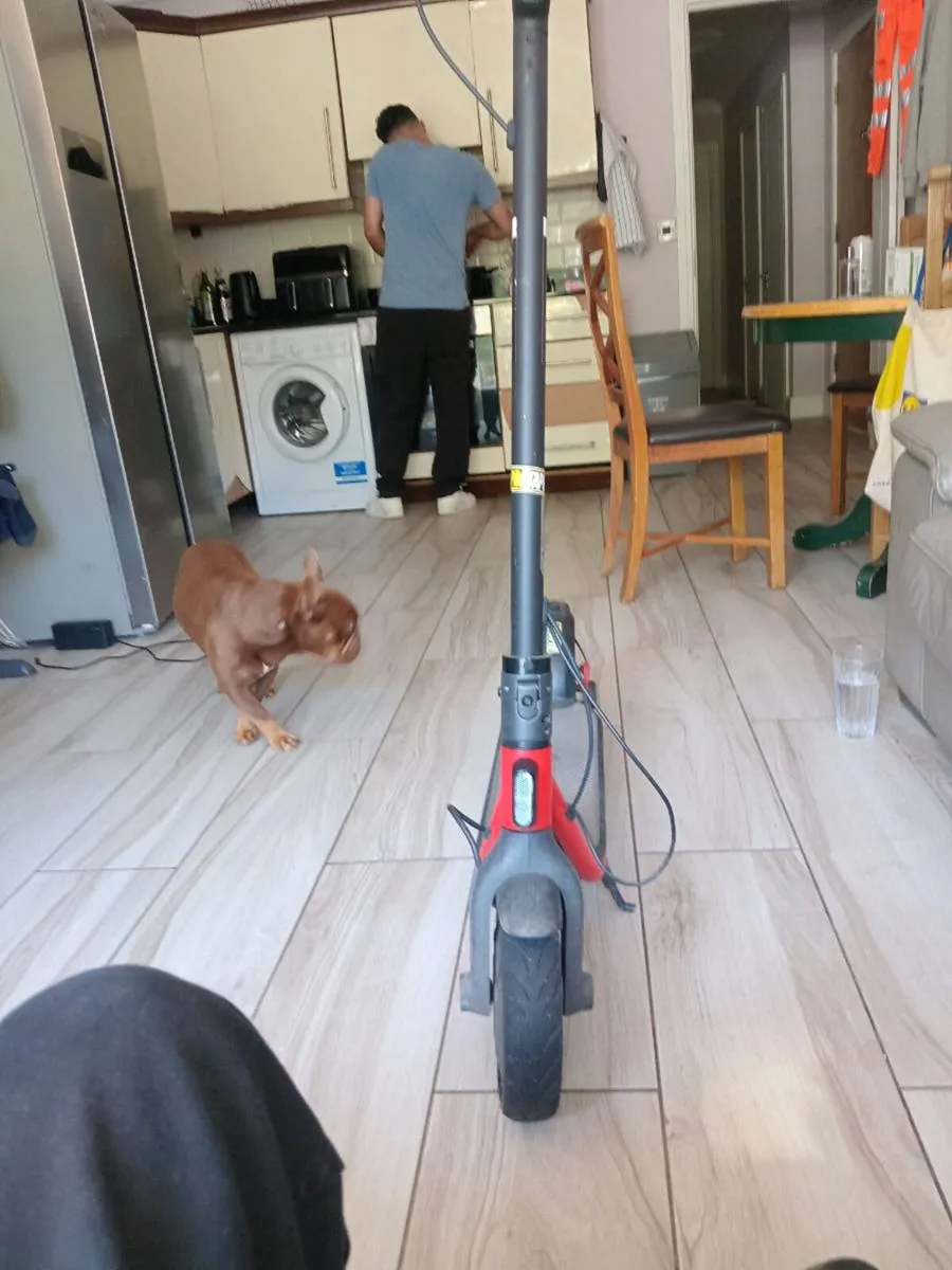 Electric scooter ninebot - Image 3