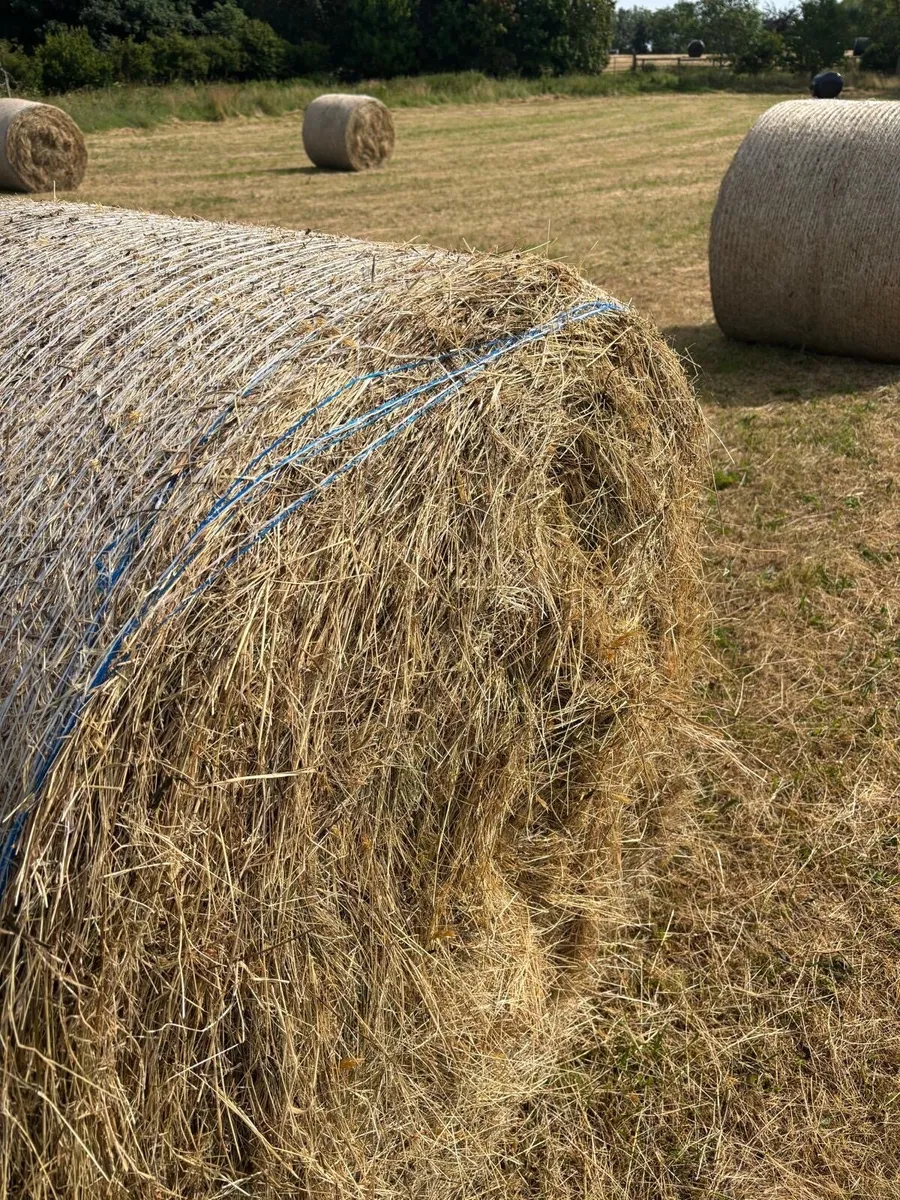 Hay & Haylage for sale - Image 1
