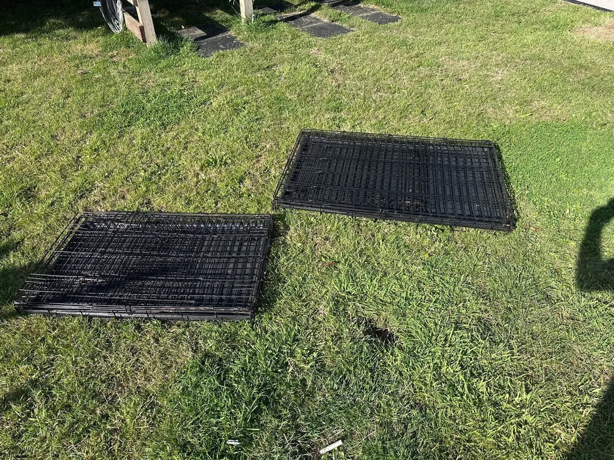 Dog Crates - Image 2