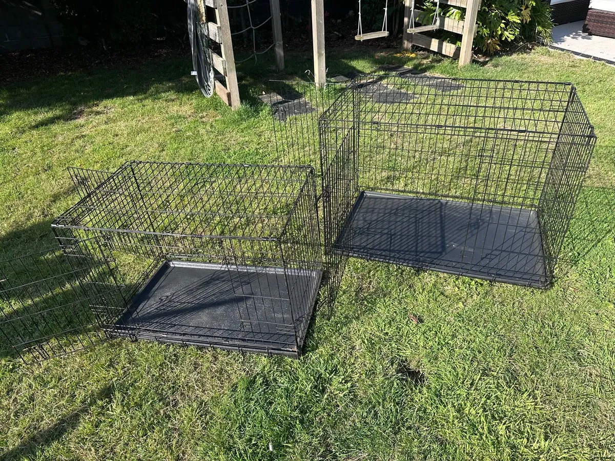 Dog Crates - Image 1
