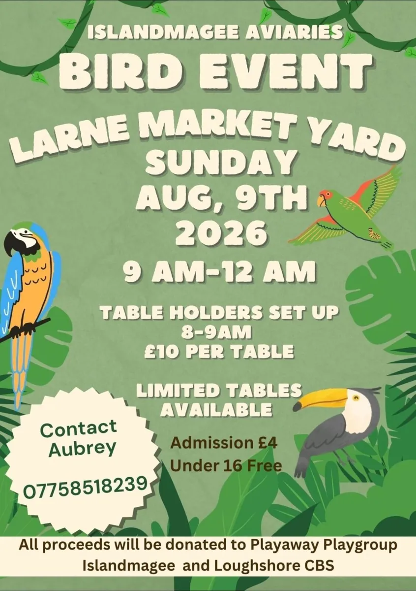 Bird Event - Image 1