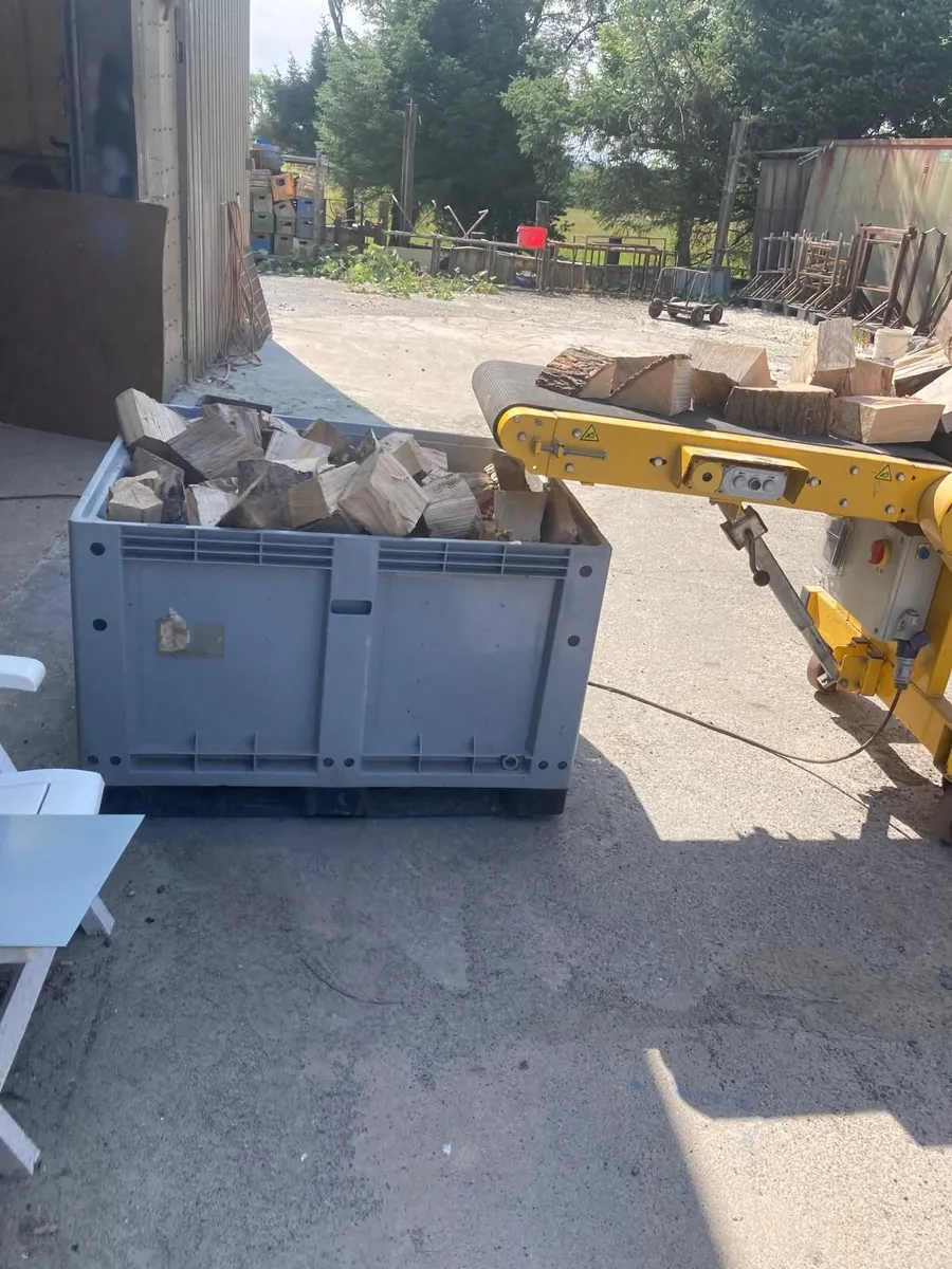 Mobile Conveyor Belt - Image 3