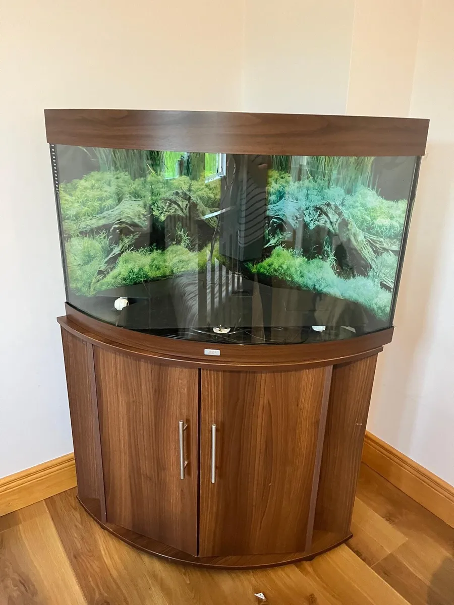Tropical fish tank - Image 1