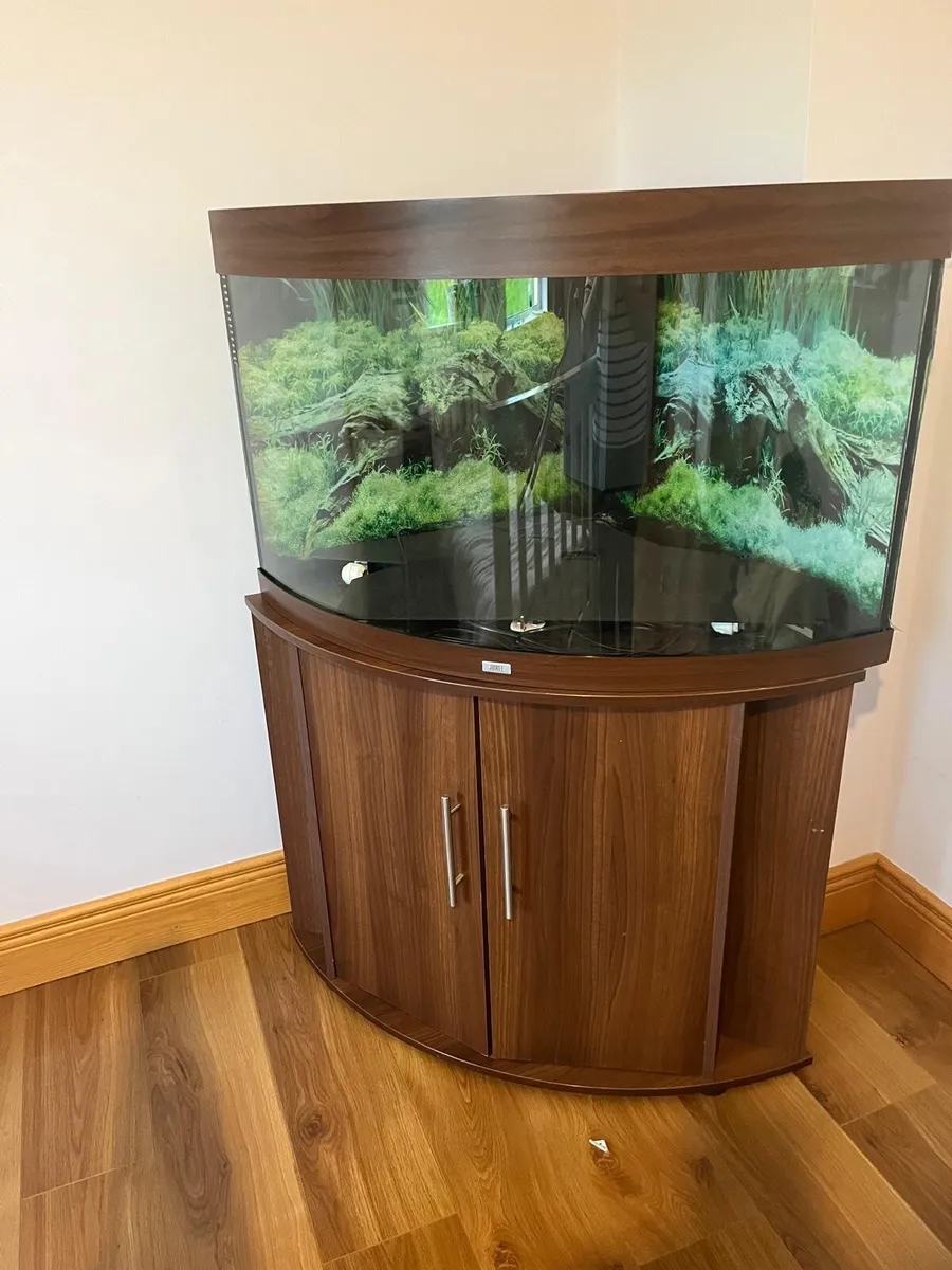 Tropical fish tank - Image 2