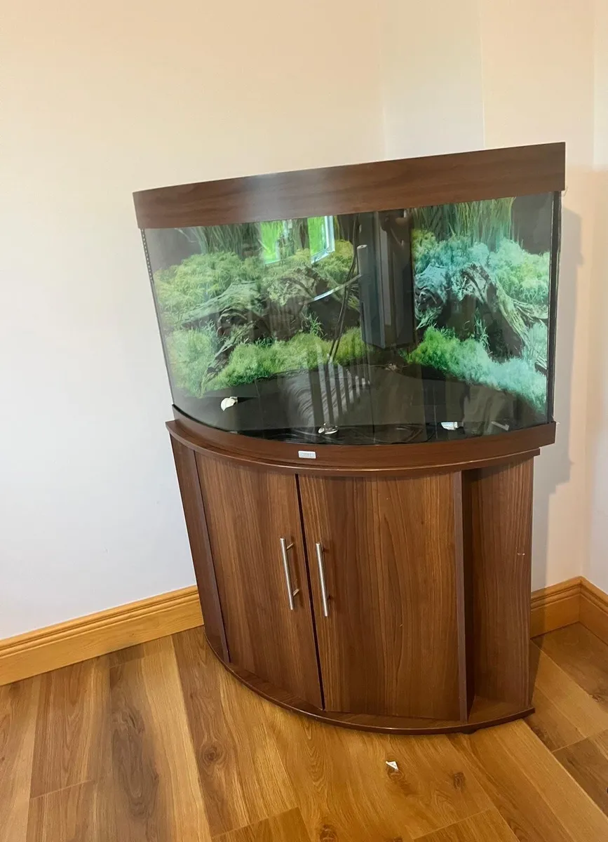 Tropical fish tank - Image 3