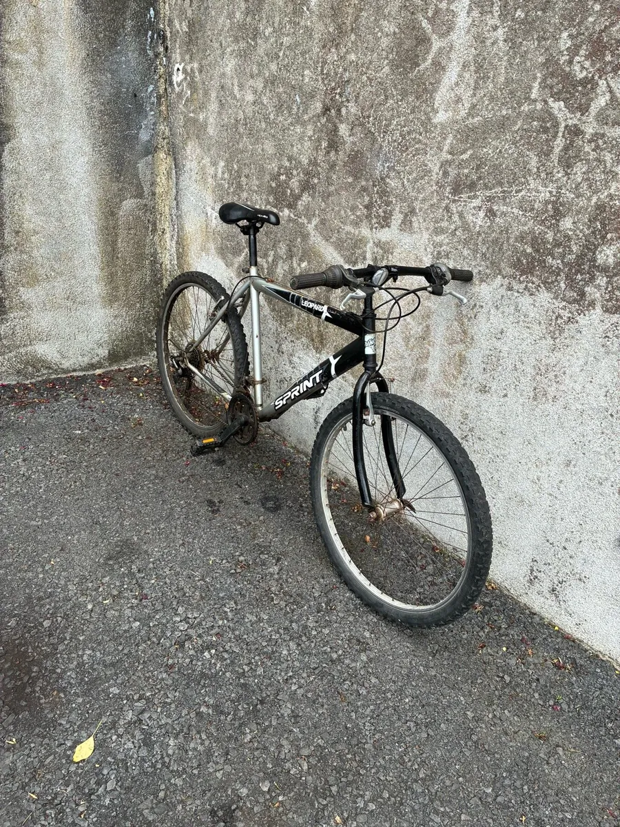 Men’s mountain bike - Image 2