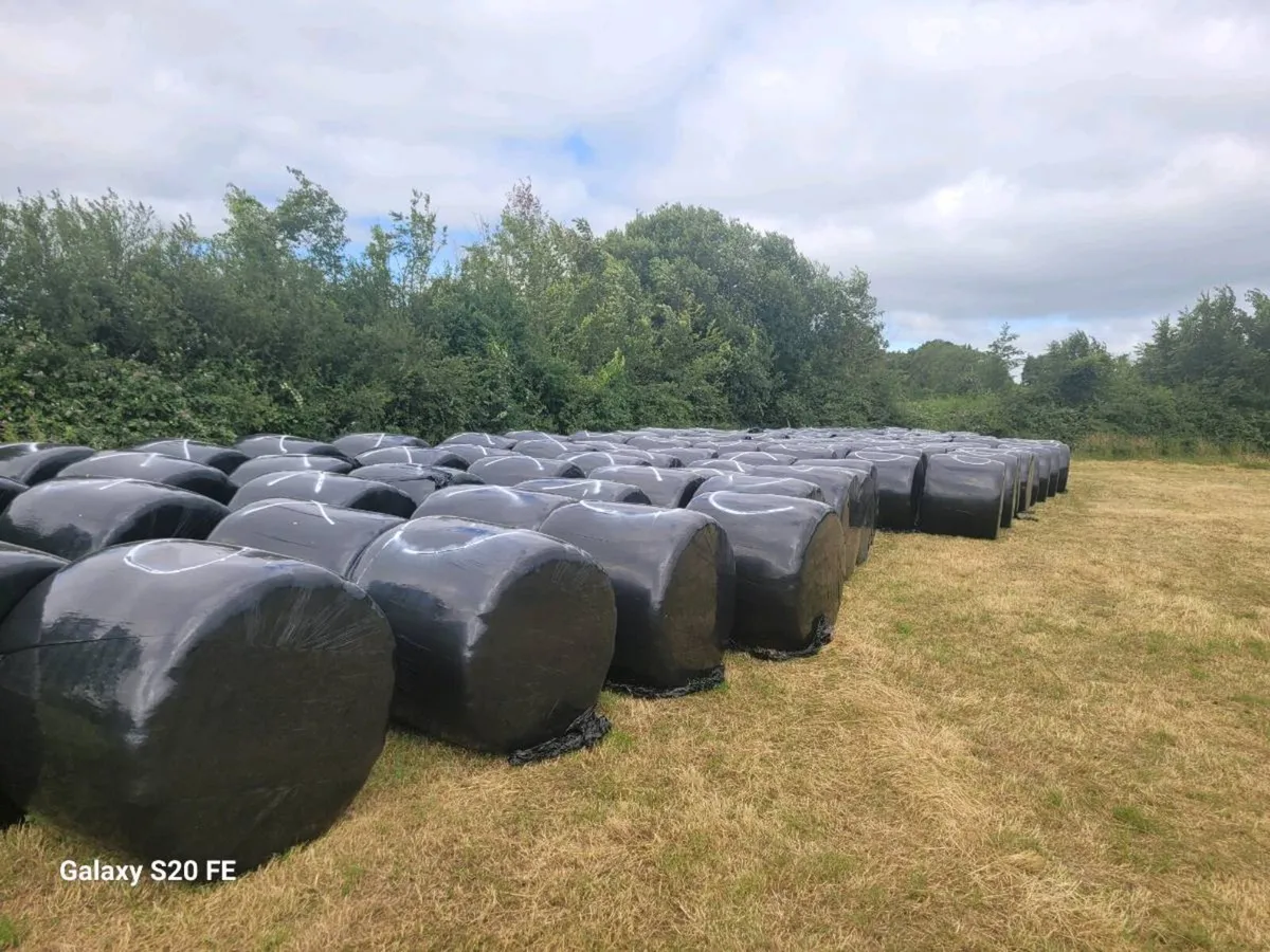 Hay - Image 1