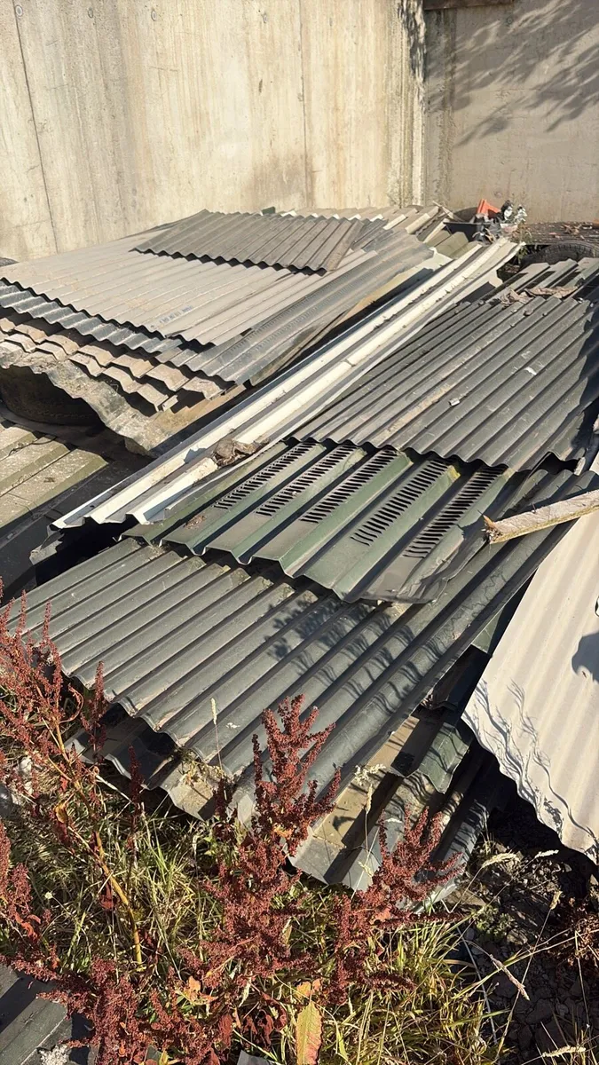 Sheeting for sheds - Image 1