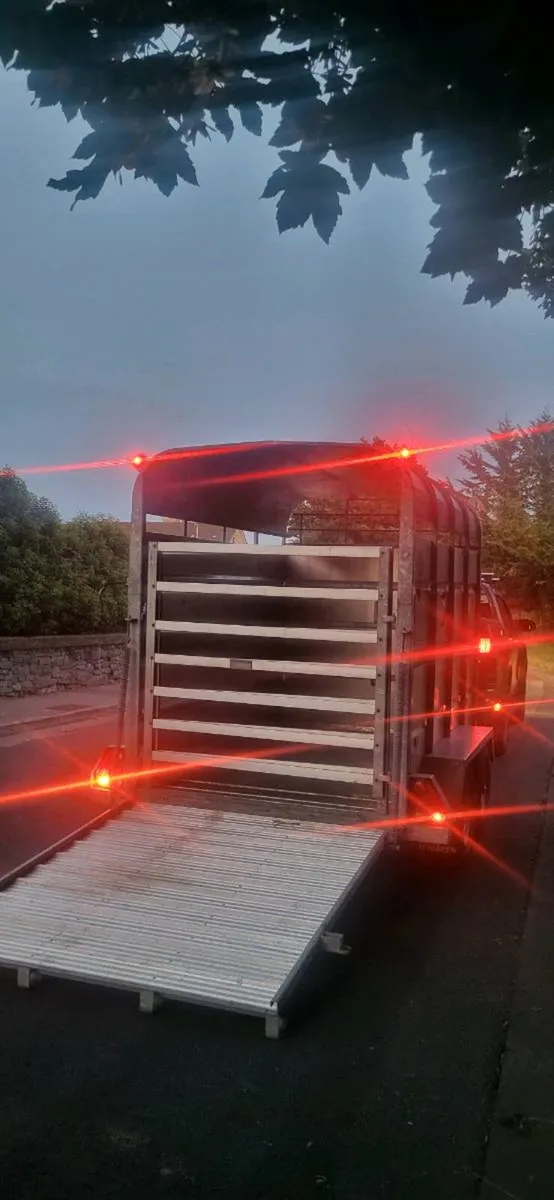 Cattle trailer. - Image 4