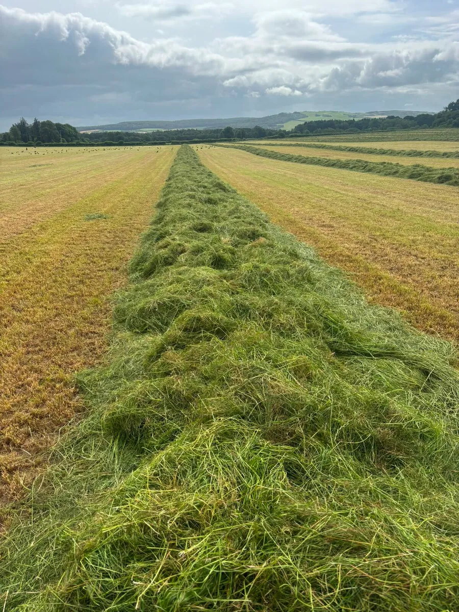 Silage Pits and Hay for Sale - Image 1