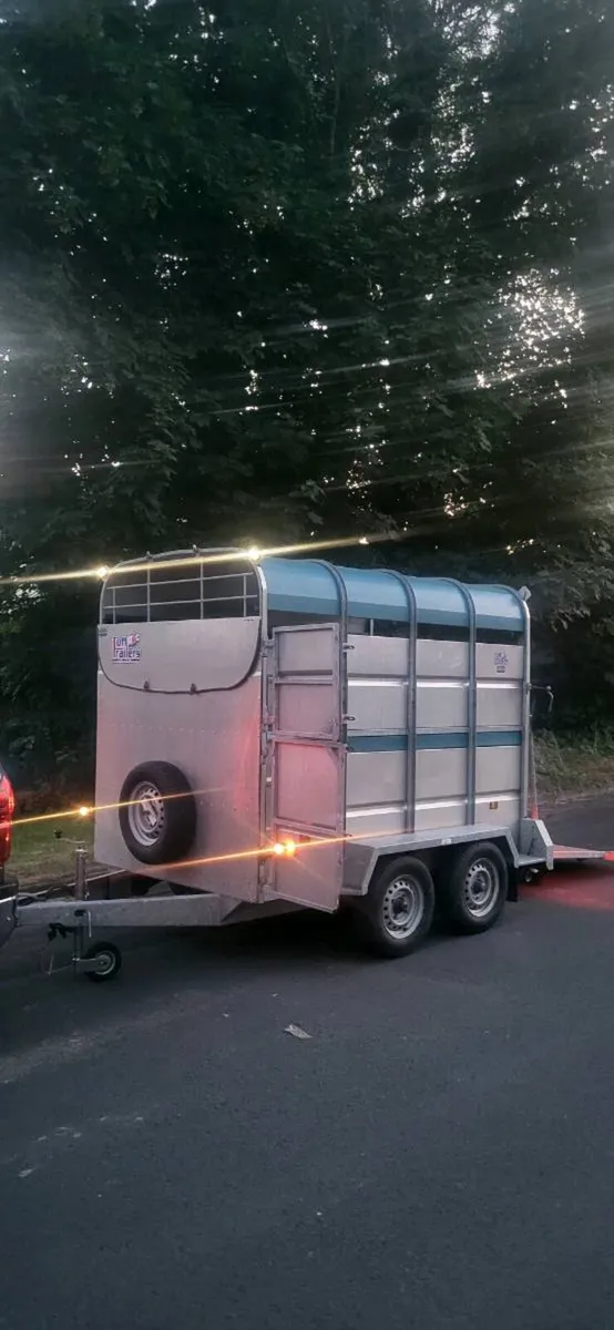 Cattle trailer. - Image 2