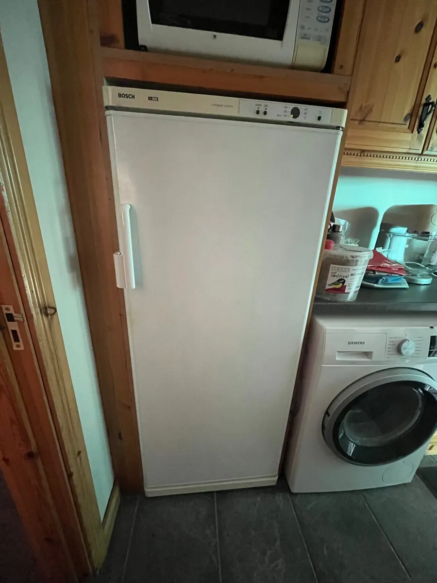 Freezer - Image 1