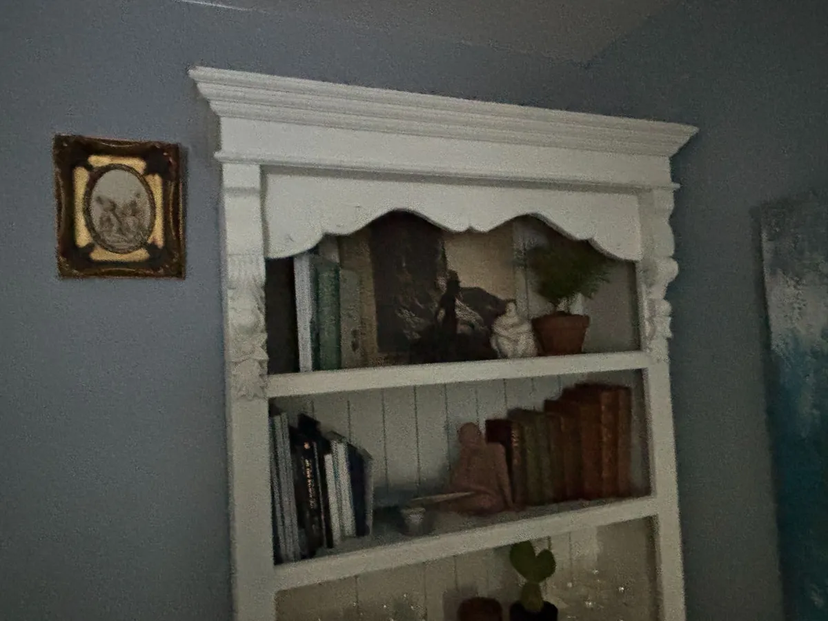 Solid Wood Display Cabinet / Large Bookcase - Image 3