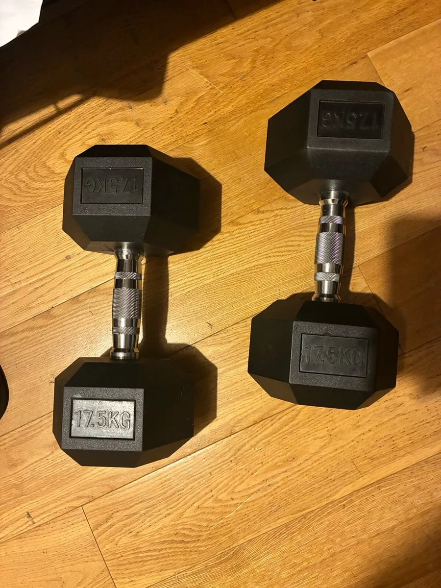 17.5kg Dumbbell pair - Image 1