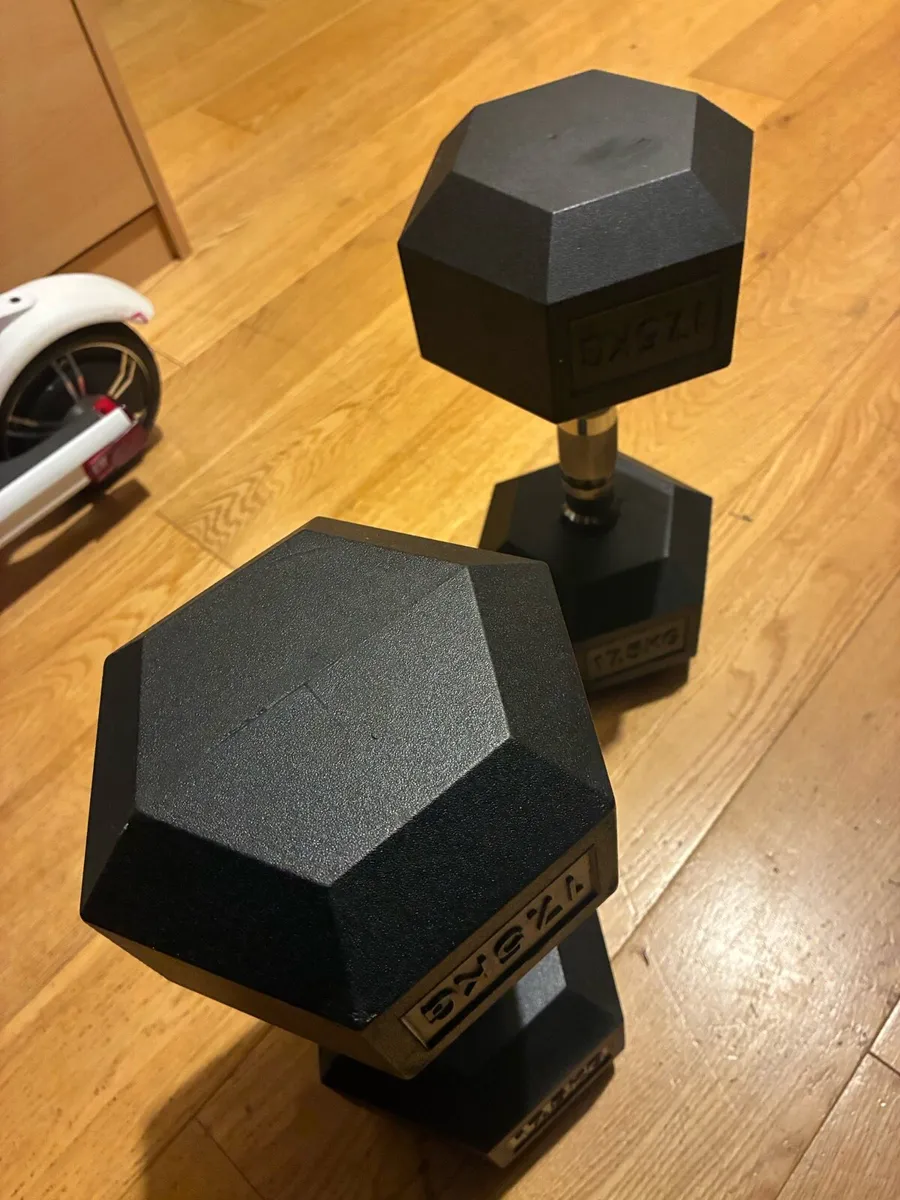 17.5kg Dumbbell pair - Image 2