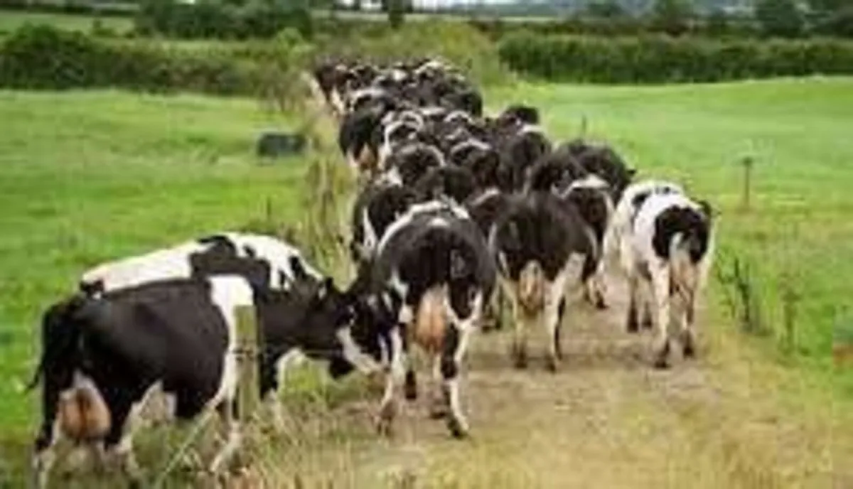 Relief milking