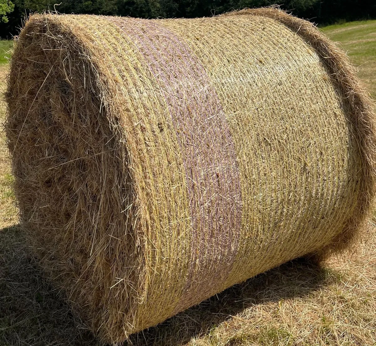 Bales of hay