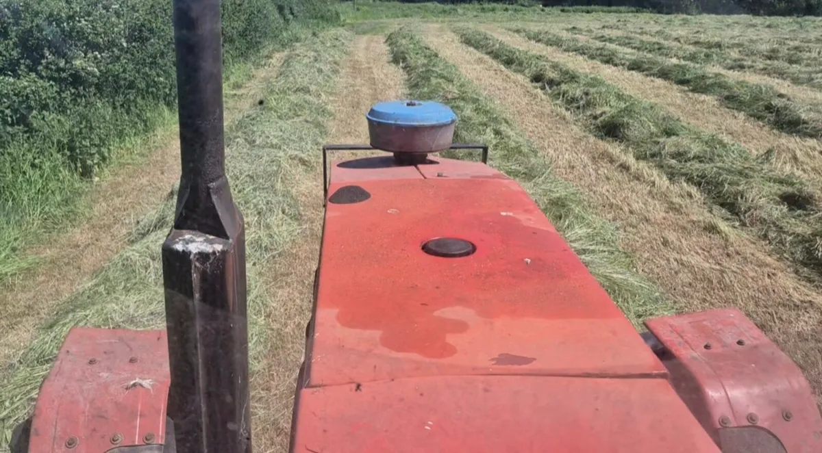 Square bales of hay - Image 4