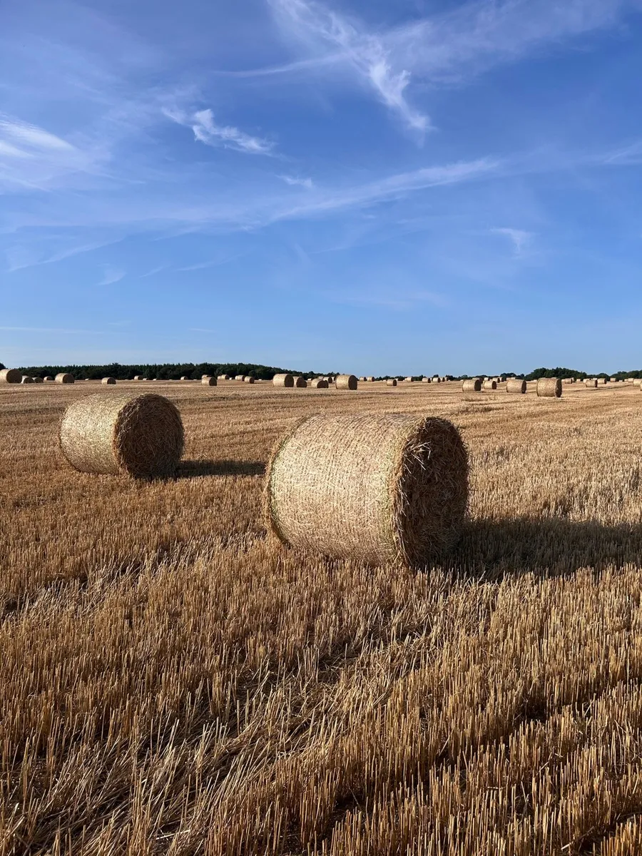 4x4 Winter Barley Straw - Image 1