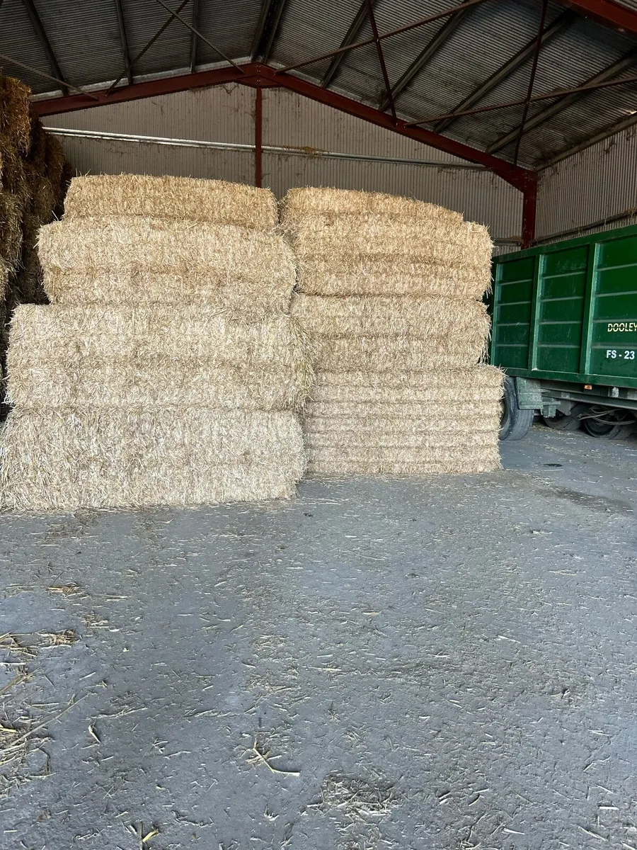 Pre Chopped Straw Bales - Image 1