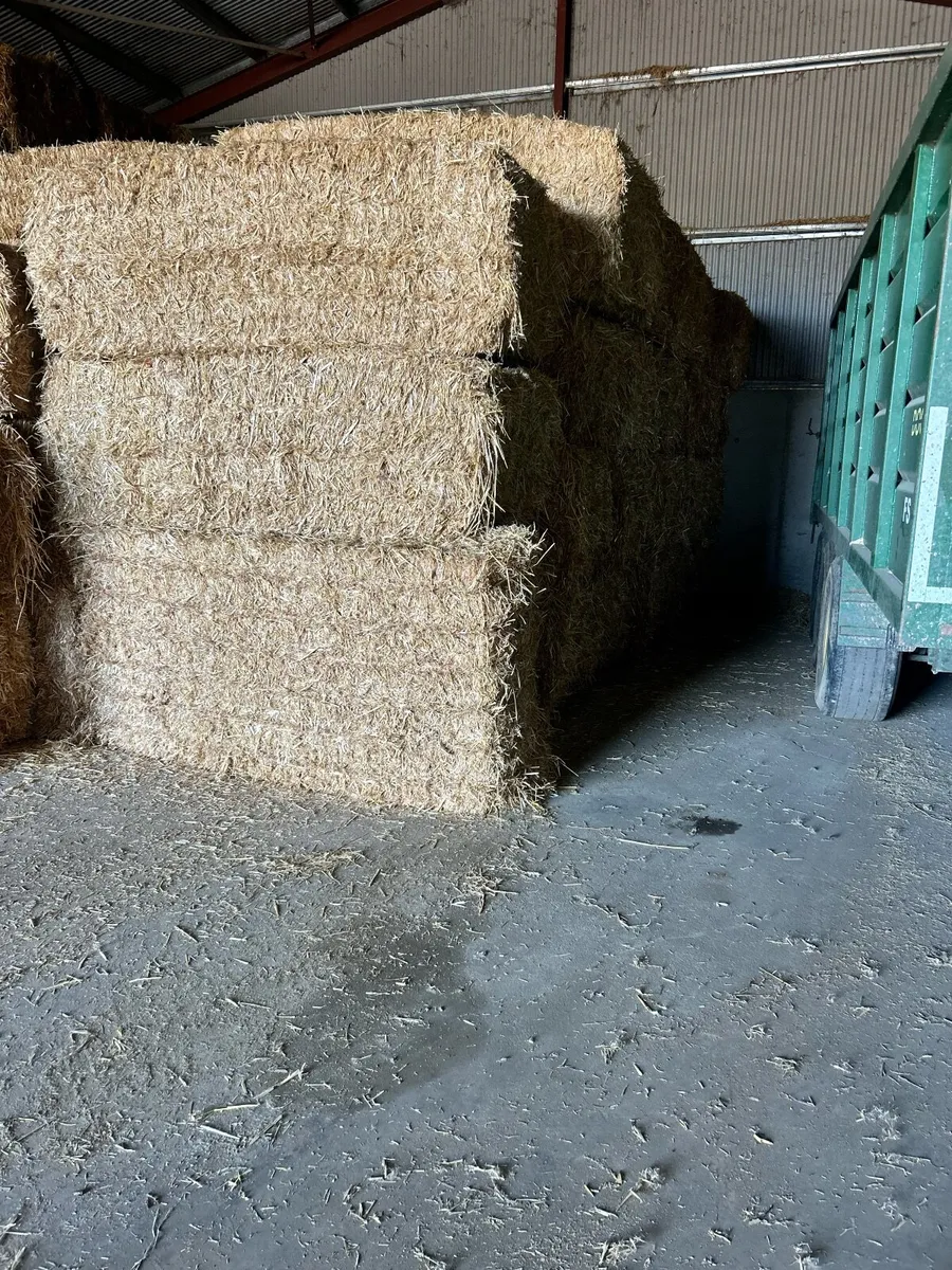 Pre Chopped Straw Bales - Image 2