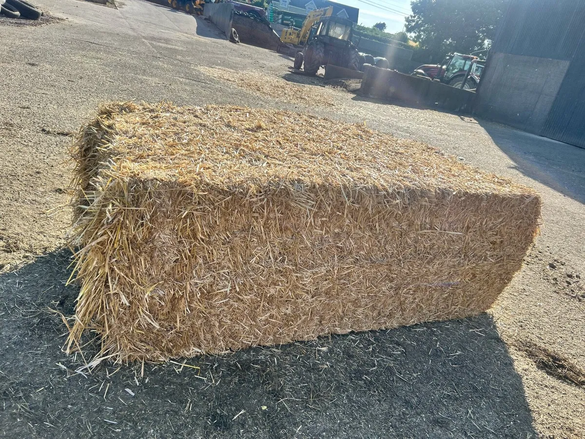 Pre Chopped Straw Bales - Image 4