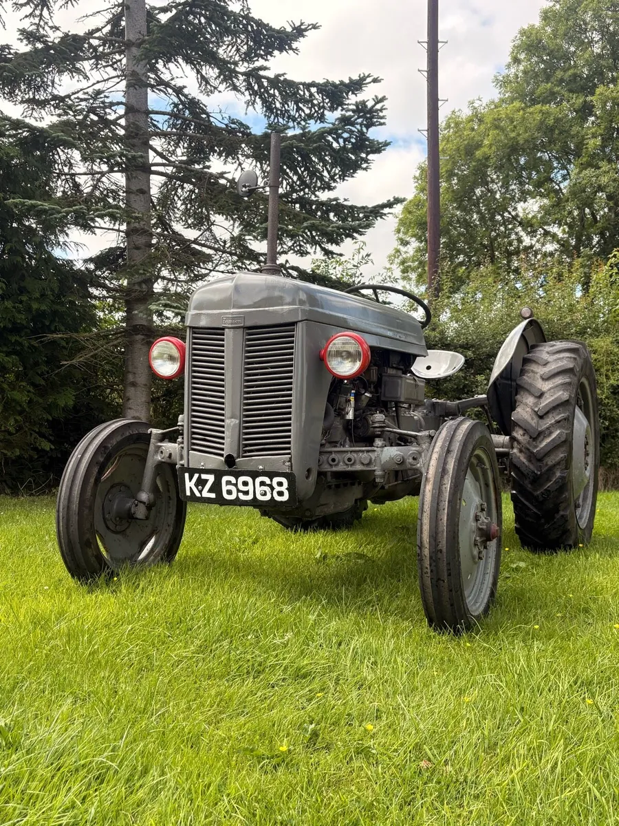 Ferguson T20 - Image 2