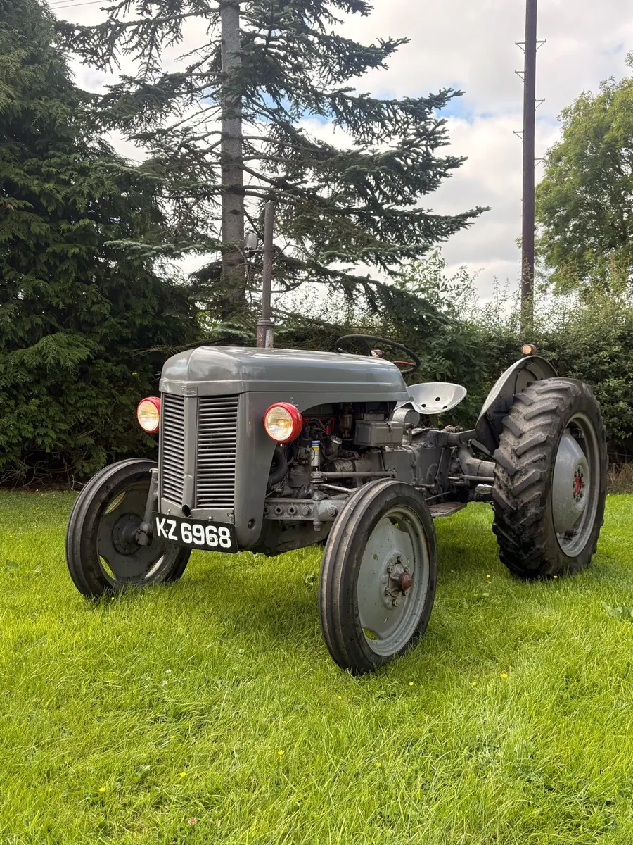 Ferguson T20 - Image 3