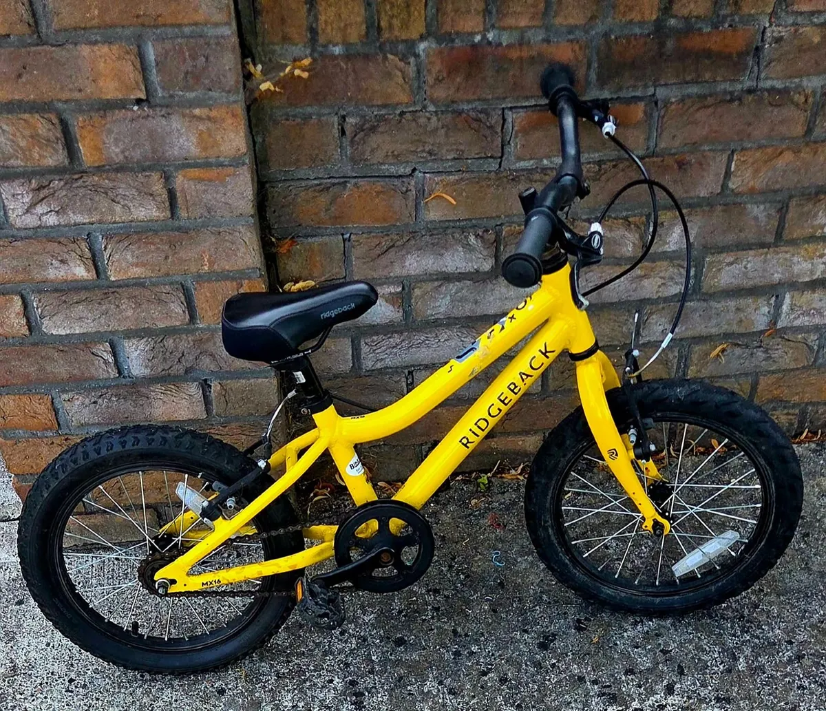 2 Kids Bikes For Sale - Ridgeback 16" & Apollo 20" - Image 1