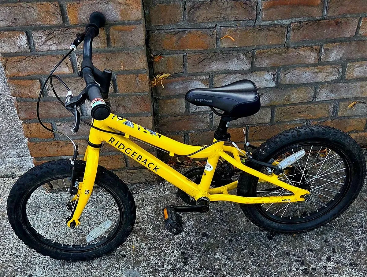 2 Kids Bikes For Sale - Ridgeback 16" & Apollo 20" - Image 3
