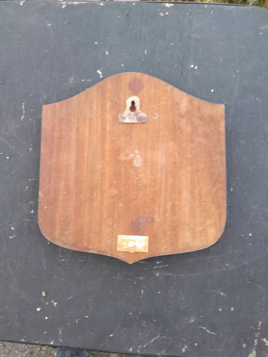 Royal Hotel carlow wooden plaque - Image 3