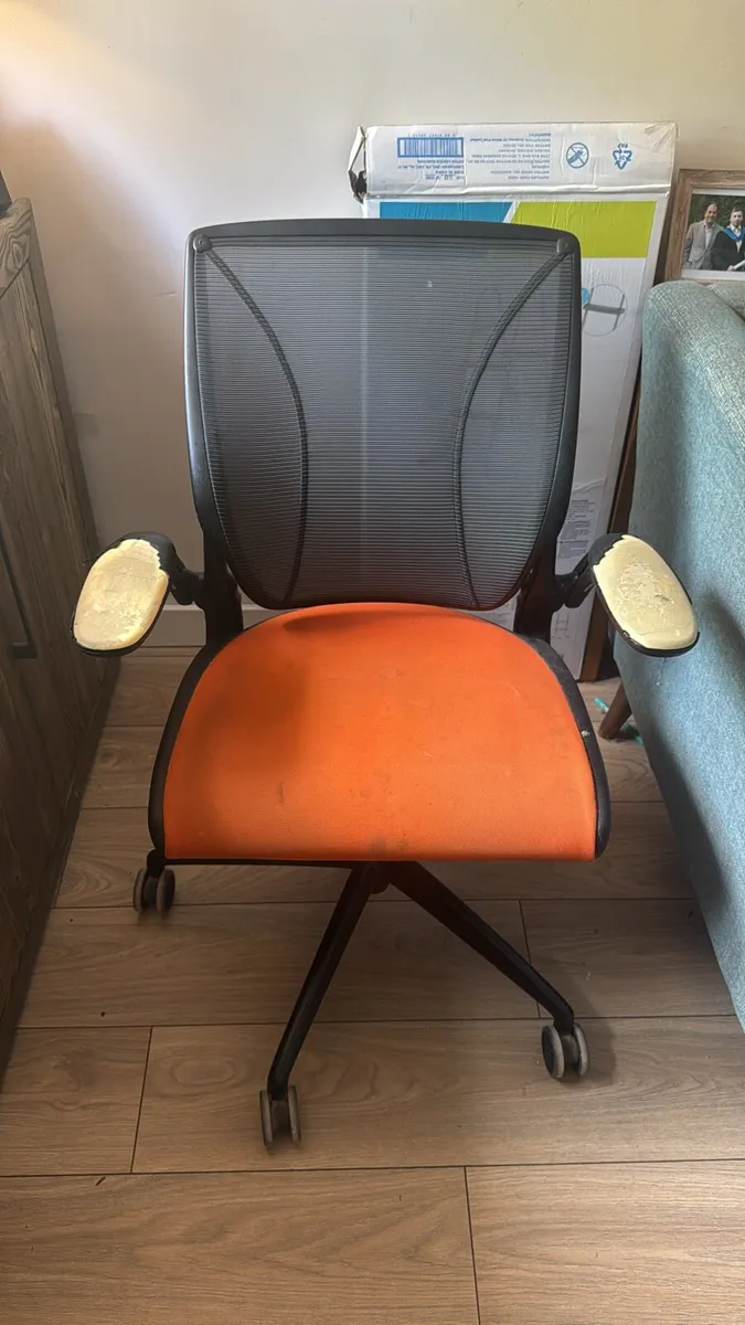 Humanscale Ergonomic World Chair with Mesh Back
