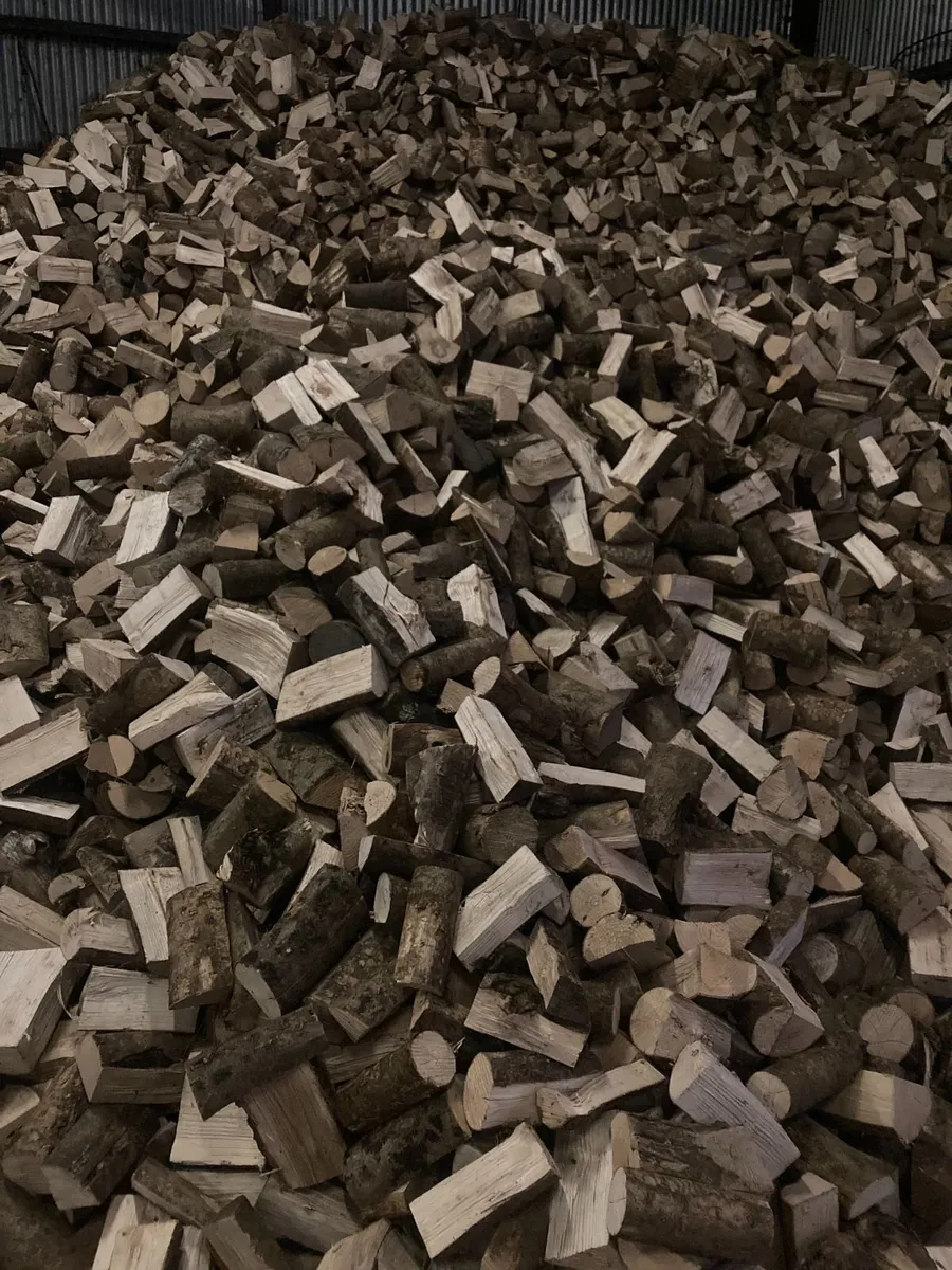 Kiln dry softwood firewood - Image 4