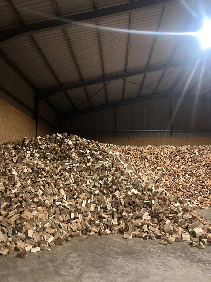 Kiln dry softwood firewood - Image 1