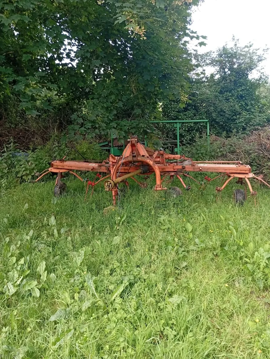 Rake - Image 4