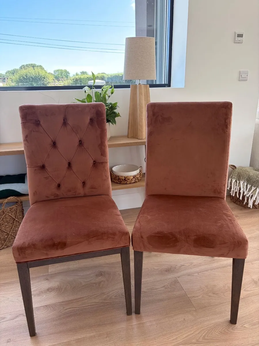 Rust Ventura Dining Chairs (6) - Image 1