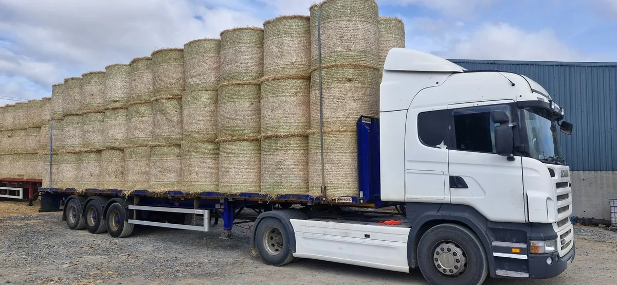 Dennison 45ft trailer - Image 2