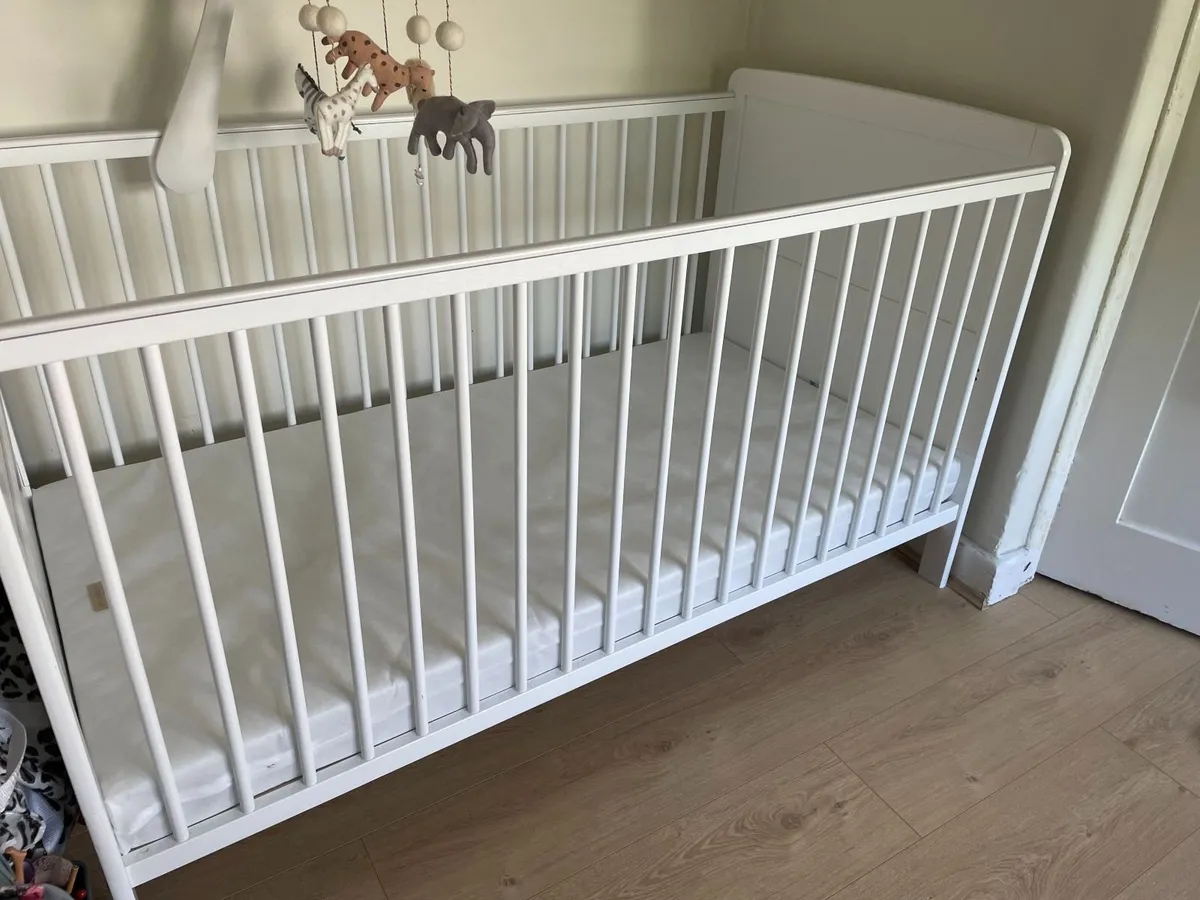 Cot - Image 3
